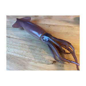 Calamar japonés de primera calidad preparado para compras al por mayor con entrega rápida - Product Image 4