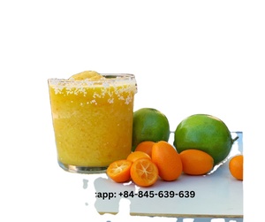 Zumo de Kumquat congelado puro de alta calidad del proveedor de Vietnam Delicia de cítricos amargos y refrescantes en embalaje de bolsa - Product Image 2