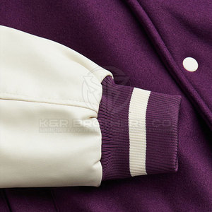 Veste universitaire pour hommes manches en cuir veste Letterman de baseball de qualité supérieure pour les sports d'hiver et la mode quotidienne - Product Image 5