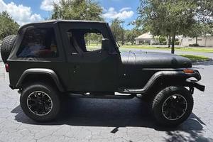 Jeep Wrangler Rio Grande 4x4 WildTerrainEnduranceX d'occasion de 1995 à vendre - Product Image 5