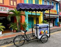 Vélo de vente ambulante de nourriture, chariot à glace, vélo avec congélateur solaire à vendre
