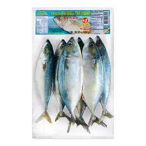 Exportation brésilienne de poisson chinchard congelé/maquereau du pacifique congelé