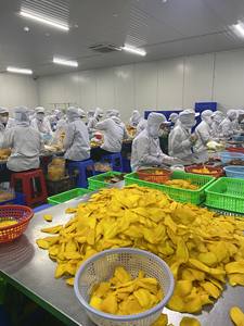 MANGUE SÉCHÉE SANS SUCRE AU GOÛT NATUREL FRUITÉ MANGUE SÉCHÉE DOUCE MANGUE SÉCHÉE BON POUR VOTRE SANTÉ - Product Image 3