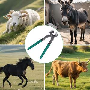 Kit d'instruments vétérinaires professionnels robustes de belle conception soins aux chevaux faits à la main au Pakistan pince à sabot - Product Image 6