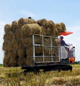 <b>Baler</b> Machine Vietnam for Sell in 2025 - Product Image 3