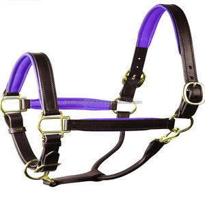 Licou de cheval en cuir fait à la main, design personnalisé, noir, marron, grain supérieur, rembourrage violet doux et double couture, licou de cheval durable - Product Image 6