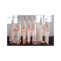 Daging Kambing Beku Organik Berkualitas Tinggi Proses IQF/Bagian Tubuh Domba Halal Asal AS Bergizi Umur Simpan 1 Tahun Kemasan Massal
