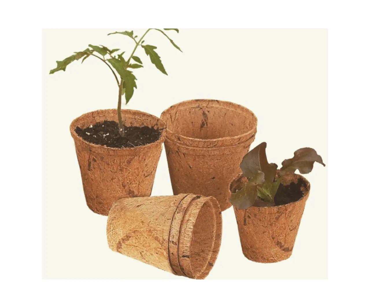 Eco-Friendly Coir Pot Made Of Coconut Fiber Price Directly From Factory