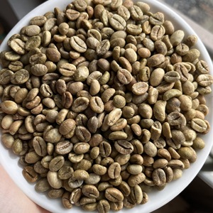 Granos de café verde Robusta al por mayor, superventas, proceso de limpieza de Vietnam con servicios de personalización, suministro a granel - Product Image 4