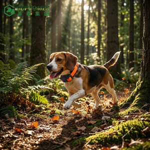 Rastreador GPS Compacto T8 2G para Perros de Caza, Diseño Profesional Sensible al Peso, Localizador de Perros Resistente al Agua IP67, Fuente Global - Product Image 4