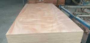 Contrachapado de Doble Cara de Primera Clase de Diseño Moderno Bintangor, 18 mm, E1, Formaldehído, 1 Año de Garantía, Recubierto con Película de Melamina Marina - Product Image 3