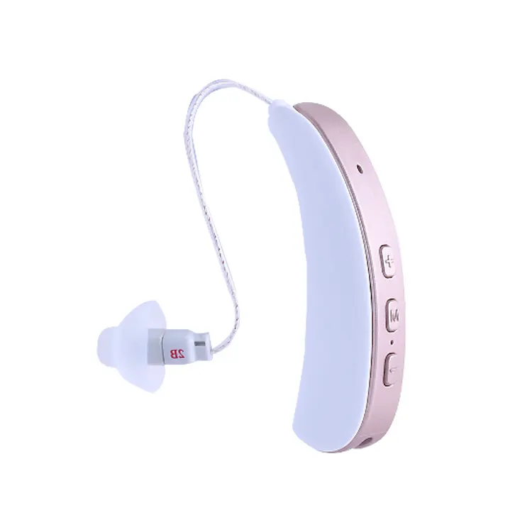 Bluetooth2023を備えたデジタル補聴器デジタルRIC補聴器充電式RITE補聴器Clear So