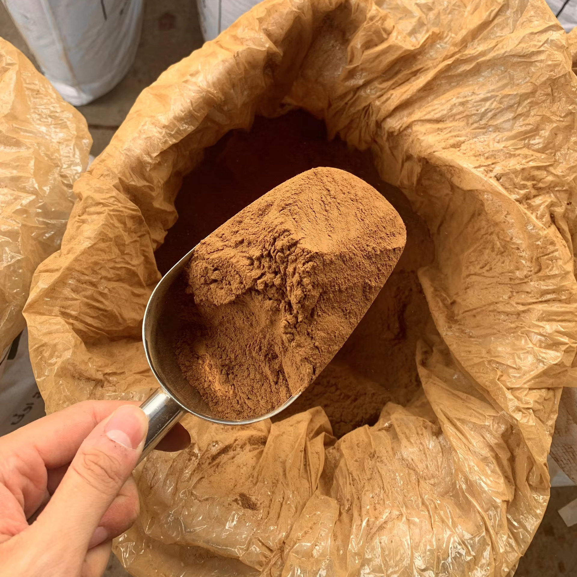 cigarette powder High Quality Fully Certified Cigarette Cassia Cinnamon Powder High Oil  Content Dried Herb Spice Export +84 326055616| Alibaba.com