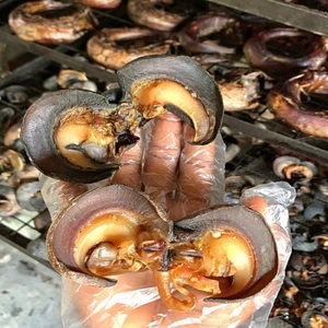 En stock vente en gros de bonne qualité escargots séchés viande épicée et douce aromatisée boîte/emballage en vrac pas cher prix livraison rapide - Product Image 3