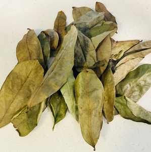 Feuilles de corossol séchées en vrac, Annona Muricata, matière première pour le thé, vente en gros et emballage personnalisé - Product Image 3