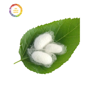 Silkworm Cocoon for Craft Projects and Textile Use - High-Quality Materials at Affordable Prices. - Product Image 2