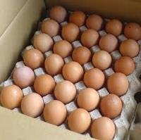 Œufs de poule frais / Œufs de table blancs 63g Durée de conservation de 5 semaines