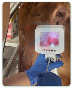 Pistola de Inseminación Artificial Visual para Vacas, Equipo Portátil de Inseminación para Ganado Lechero - Product Image 5