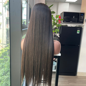 LINU JL068 Peluca de Cabello Humano Vietnamita Liso de Donante Único, con Frente de Encaje y Parte en U, 250% de Densidad, HD Transparente para Base de Encaje - Product Image 1