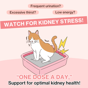 UT CARE, suplemento masticable suave para gatos, portátil, fácil de alimentar, soporte urinario para el riñón, suplementos para el cuidado de la salud de mascotas bajos en base de arándano - Product Image 1