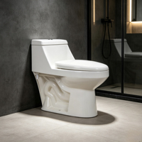 WC moderne en céramique monobloc complet avec bidet intégré pour salle de bain