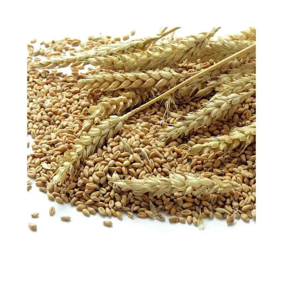 Wheat flour - Rice Flour - Glutinous rice flour / Canadian High Quality Wheat Flour for sale 25kg/50kg bags