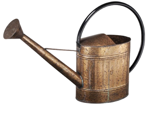 Large Capacity Gold Polished Most Popular <b>Water</b> Cane Home and Garden Decorative Classic Finished Metal <b>Water</b> <b>Can</b> - Product Image 3