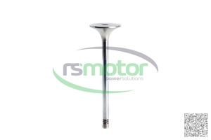 Wholesale OEM Parts Multi Purpose Practical <b>Exhaust</b> <b>Valve</b> MWM RS-12319916 - Product Image 2