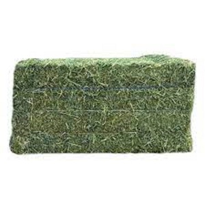 Balles de foin d'alfalfa pur de haute qualité pour chevaux et porcs, Pays-Bas, durée de conservation de 24 mois, prix de gros avantageux - Product Image 6
