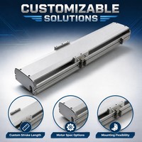 Module de glissière linéaire à vis à billes BSC13, actionneur linéaire électrique avec moteur pas à pas NEMA, rail compact haute rigidité pour machine CNC