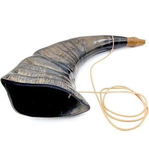 Corne de buffle soufflante avec forme naturelle, faite à la main, durable, animal, moderne, personnalisable, art et objet de collection - Product Image 1