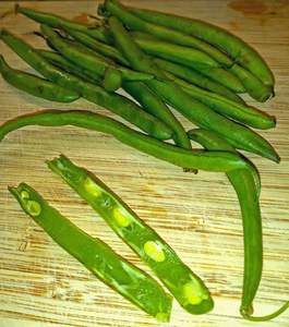 Factory Price High Quality Organic Fresh Legumes Mixed Beans and Pulses Farm Sourced Cleaned Graded for B2B Buyers - Product Image 2