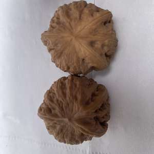 <span class=keywords><strong>ค้อน</strong></span>ทองเกรดนักสะสม ทำจากไม้พีชทรงสามเหลี่ยม งานแฮนด์เมดสุดหรูสำหรับตกแต่งบ้าน ลวดลายเรขาคณิต-งานหัตถกรรมวัฒนธรรมตะวันออก - Product Image 6