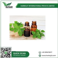 100% Minyak Esensial Basil Suci Organik Alami Murni Kelas Terapi Aroma Segar Pereda Stres Penyembuhan Alami Semua Jenis Kulit