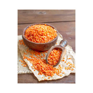 Lentejas frescas orgánicas de alta calidad, gran cantidad suministrada para mercados de exportación internacionales - Product Image 3