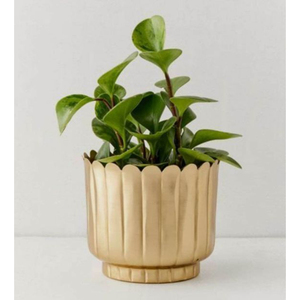 Jardinières en métal martelé Pot de plantes en or Jardinières d'intérieur uniques Jardinières de décor à la maison pour conteneur de plantes de décoration de bureau - Product Image 6