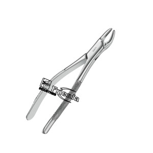 Forceps d'extraction American Pattern Figure 10S Instruments Fabricants en acier inoxydable allemand de haute qualité - Product Image 2