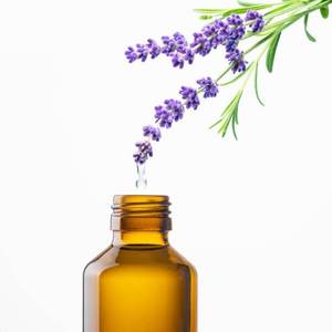 100% aceite de lavanda de espiga pura al por mayor aceite de lavanda de espiga a granel ACEITE DE levanda de espiga natural y pura - Product Image 2