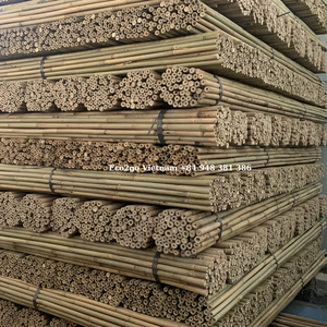 Bastones de estacas de bambú/Venta de postes de bambú grandes de alta calidad para la Agricultura Hecho en Vietnam - Product Image 3