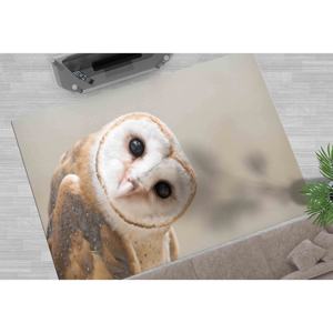 Owl Photo <b>Rug</b>: Non-Slip Accent <b>Rug</b>, Office Decor,<b>Chenille</b> <b>Rug</b> - Product Image 2