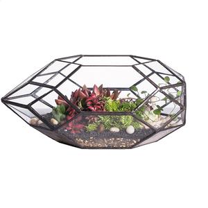 Terrarium en verre d'excellente qualité pour le salon ou la salle à manger Article de décoration Terrarium en verre Accessoires à utiliser Article - Product Image 2