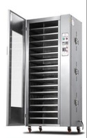 Four de séchage automatique en acier inoxydable de haute qualité avec circulation d'air uniforme et contrôle numérique de la température, optionnel