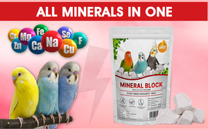 กระดูกปลาหมึก/ปลาหมึกแห้ง/กระดูกปลาหมึกสำหรับนกปลาหมึกนานสำหรับนกนกแก้ว - Product Image 4