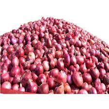 Cebollas Frescas en Bolsa de 10kg y 20kg, Rojas y Amarillas, Tamaño de 5cm a 9cm, Venta al por Mayor - Product Image 2