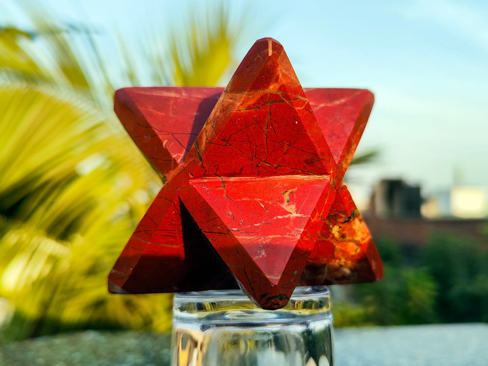 Como se muestra en PIC