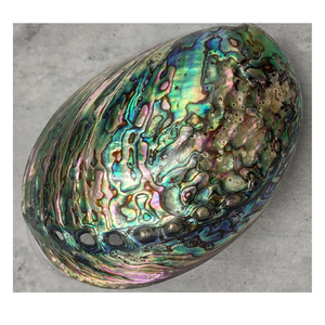 เปลือกหอยเป๋าฮื้อธรรมชาติขนาดใหญ่เปลือกหอยเป๋าฮื้อจริงจากเวียดนามพร้อมชั้นสีรุ้งที่มีสีสันเพื่อการส่งออกและการค้าสินค้าจากทะเล - Product Image 3