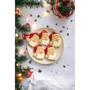 Babbo Natale pupazzo di neve globo di neve di natale stampo per biscotti e pasta di zucchero stampo Set di tre