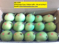 Export verse mango's 8kg/doos, ISO gecertificeerd, kwaliteit A, Vietnam oorsprong, met voordelige prijs. HP 0084 917 476 477