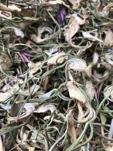 Fleur d'artichaut séchée du Vietnam de haute qualité pour les salons de thé et les menus de boissons de café, offrant un arôme naturel et un goût végétal - Product Image 2