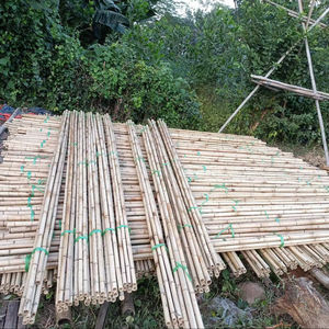 Postes fuertes de bambú natural de Vietnam hechos para la construcción, jardinería, paisajismo y fabricación de artesanías - Product Image 1